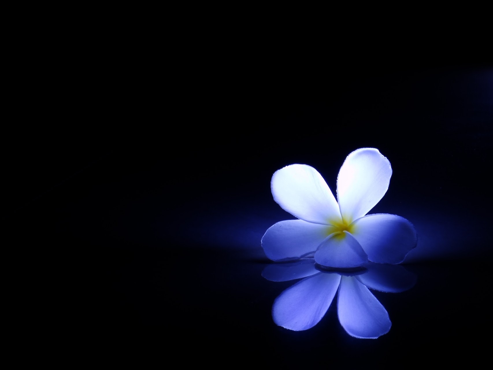 varun-rajput_blue_zeznqa