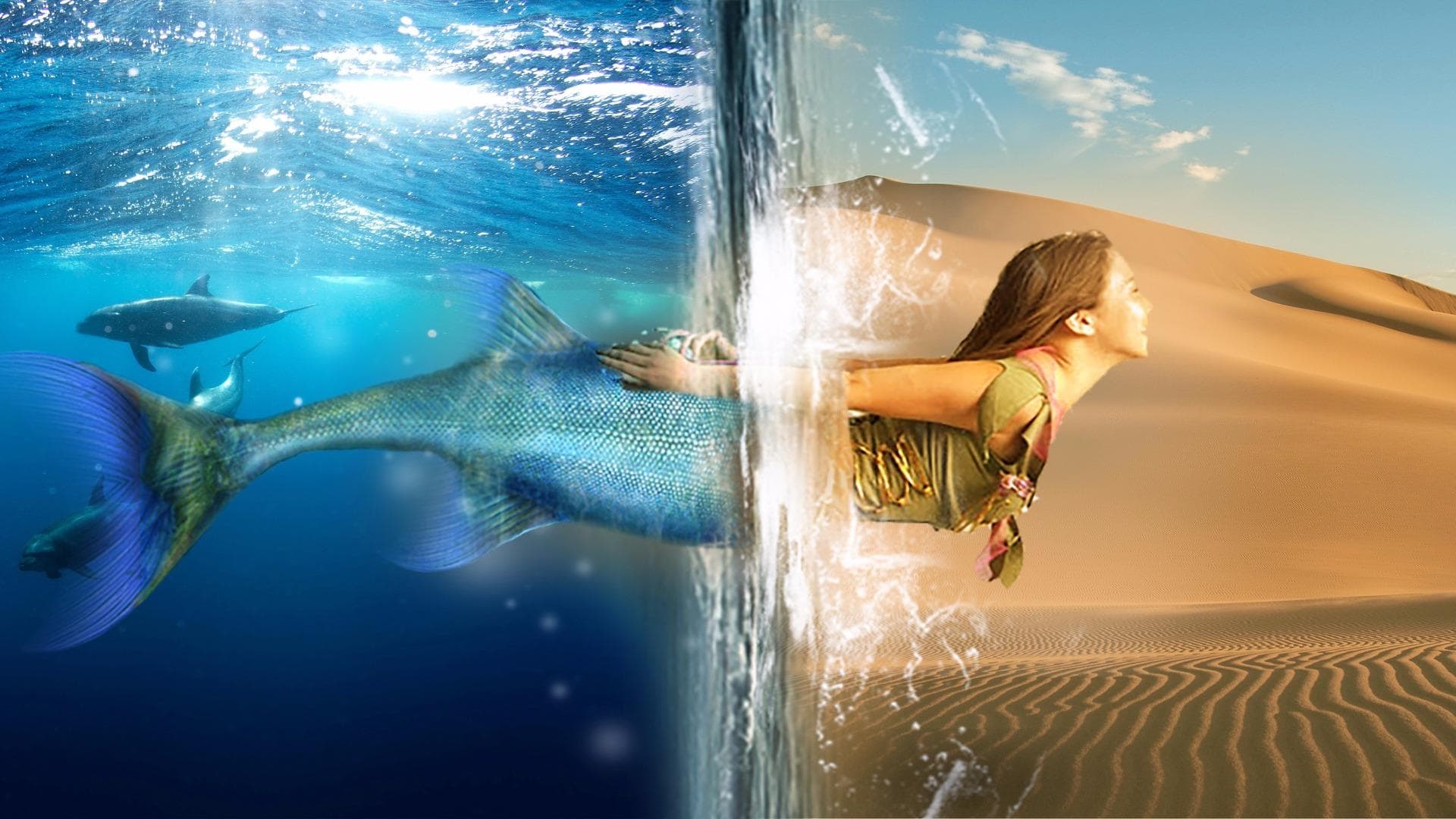 WallpaperStudio10-79775