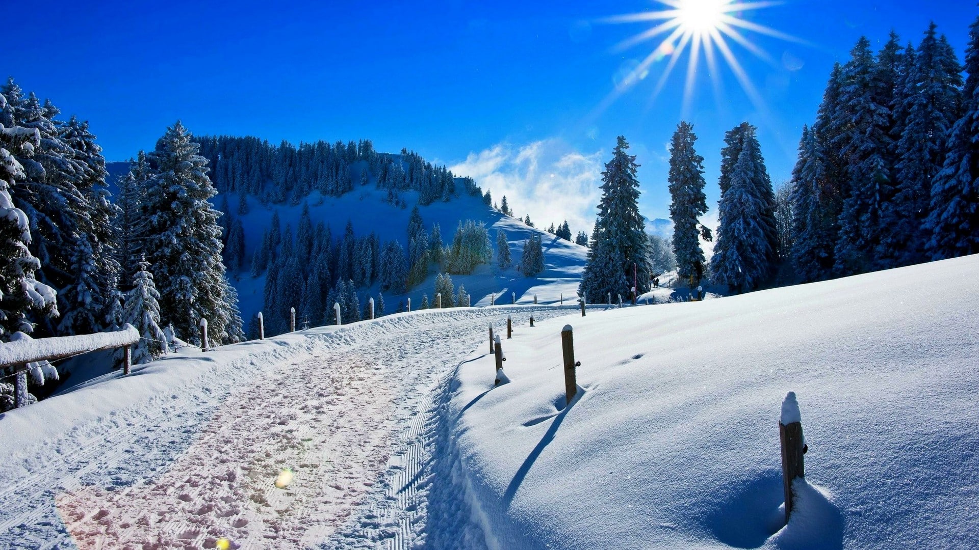 WallpaperStudio10-84795