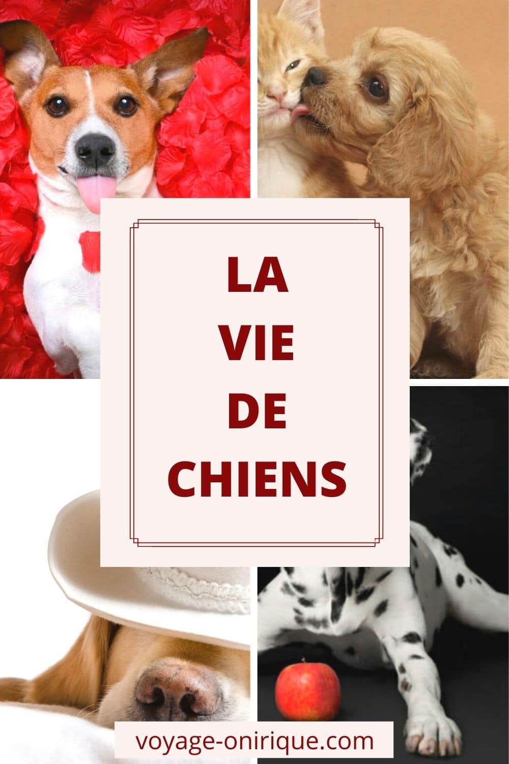 La vie de chiens