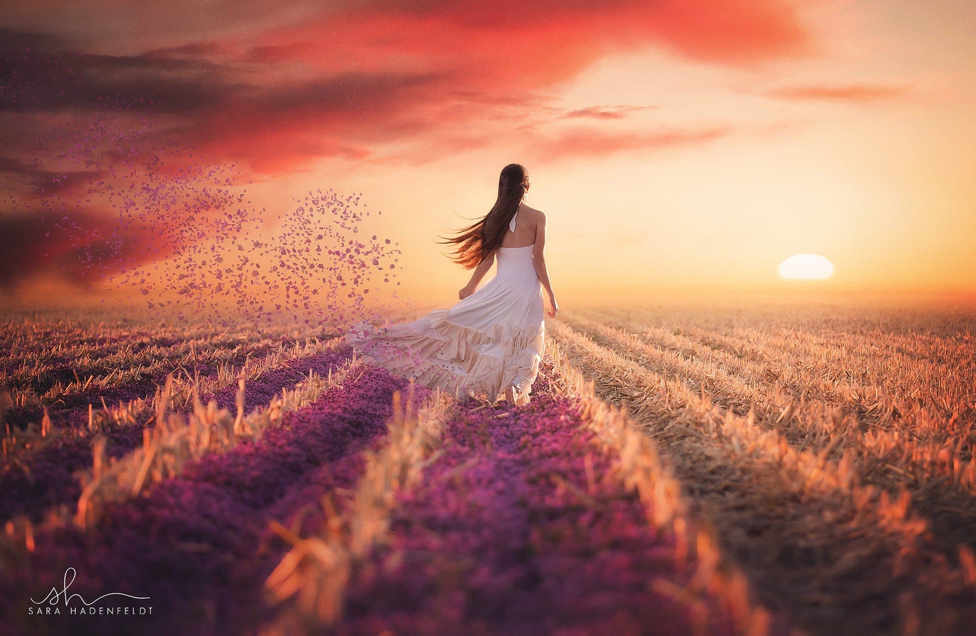 Yaman_bringing spring_YUxhQ2dddA