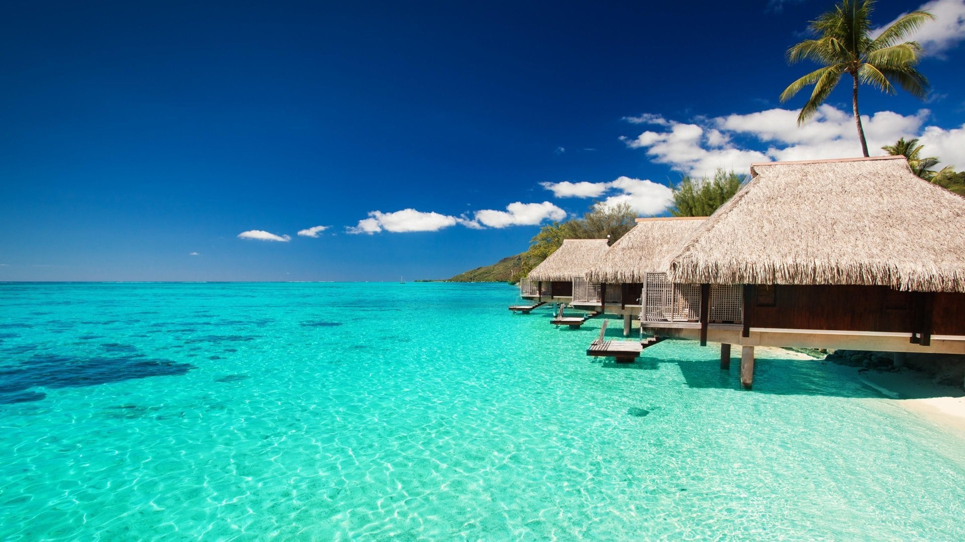 wallpaper fond d'écran paradis maldives