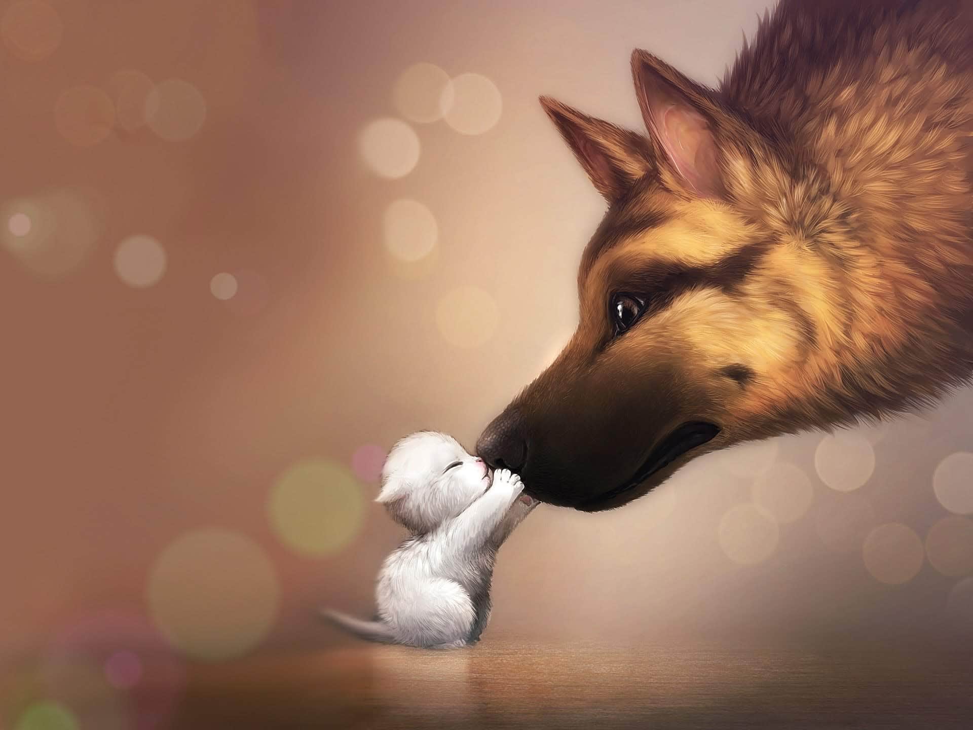 wallpaper et fond d'écran complicité image animaux