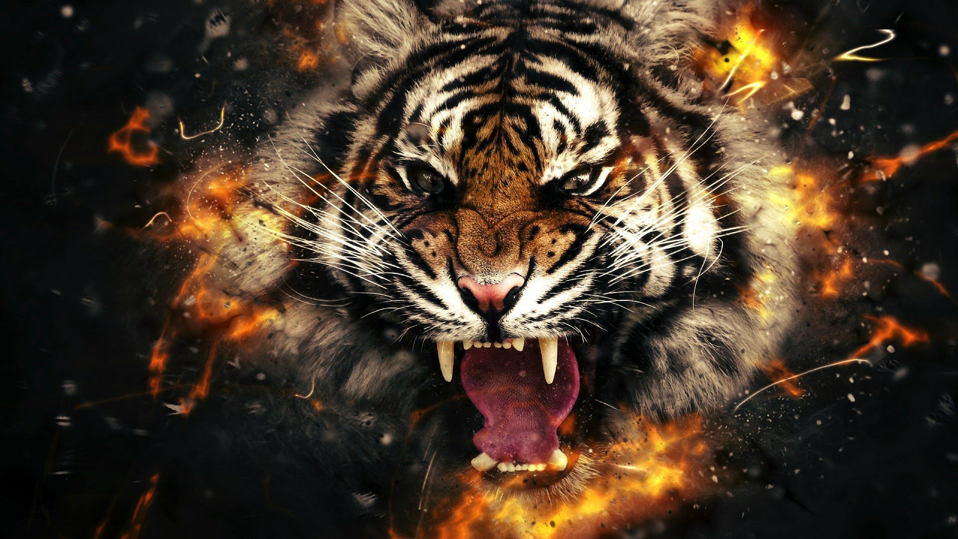 wallpaper et fond d'écran graphique tigre art tiger animals animaux rugir art graphique portrait félin