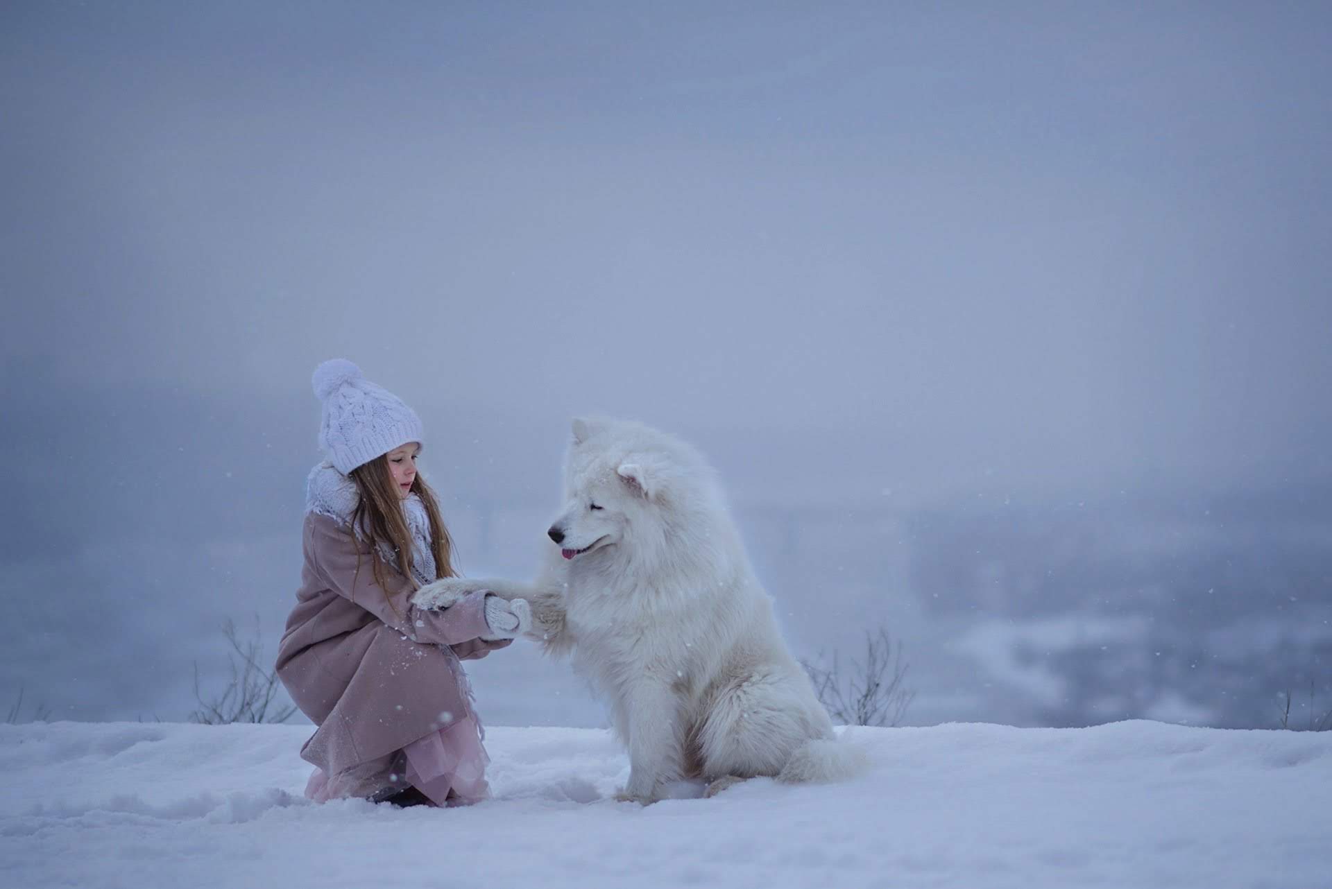 wallpaper et fond d'écran chien enfant complicité