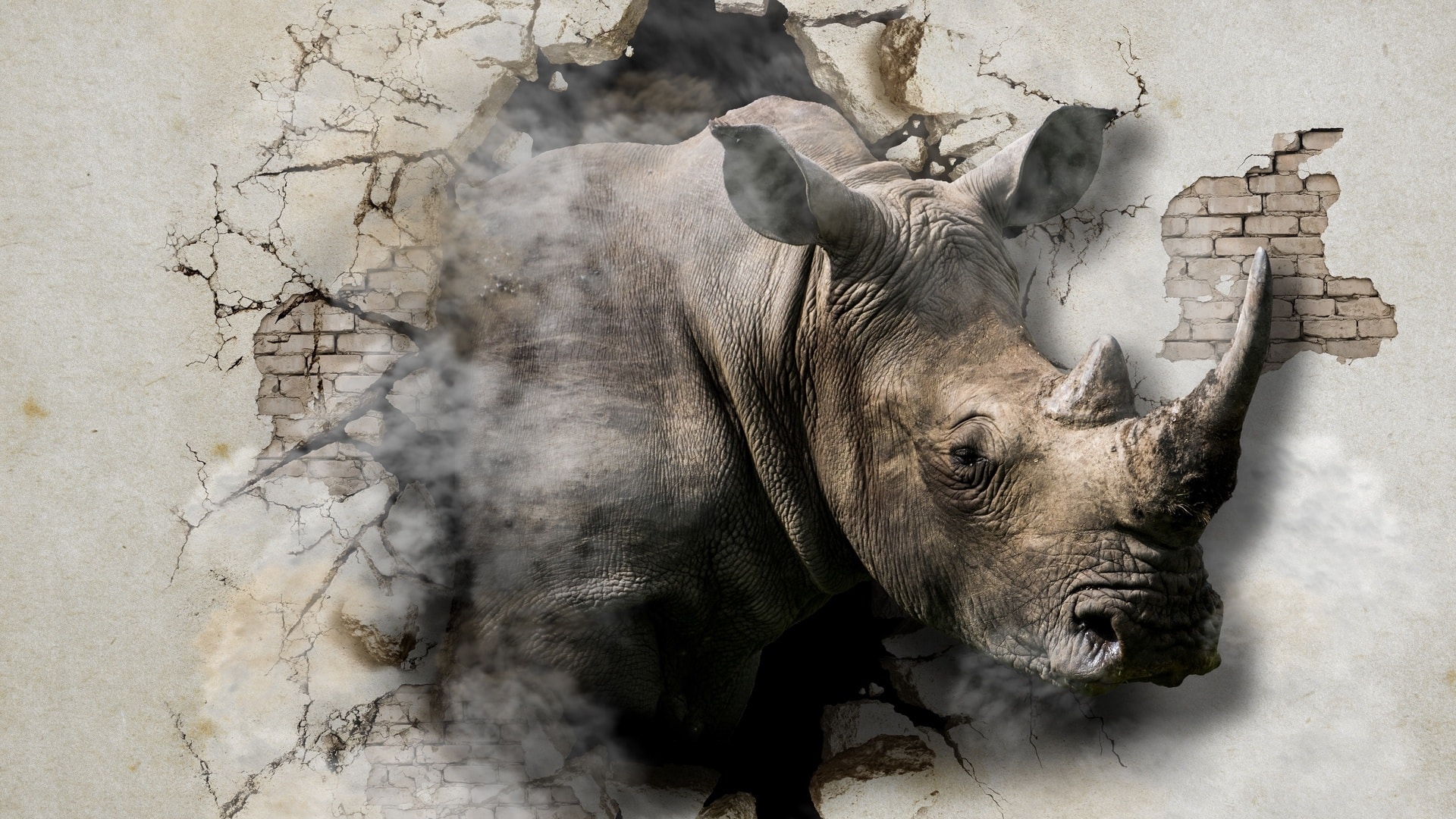 wallpaper et fond d'écran animaux rhinocéros art