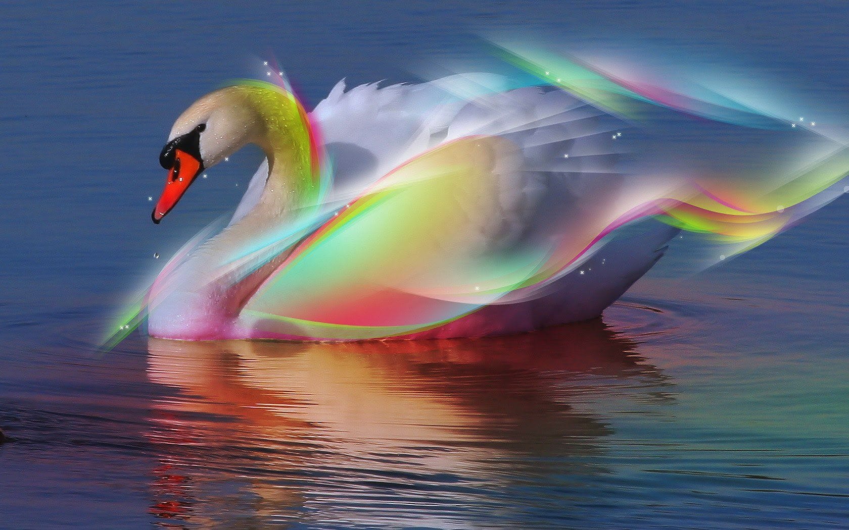 wallpaper et fond d'écran cygne couleur animal