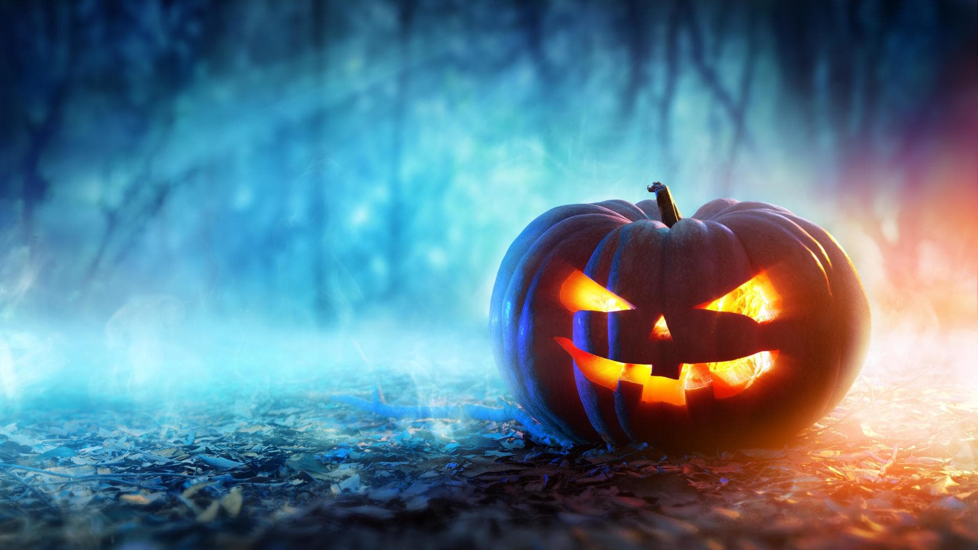 wallpaper et fond d'écran halloween