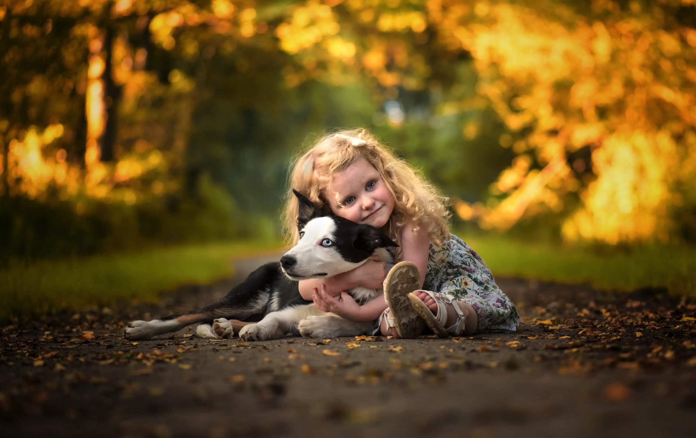 wallpaper et fond d'écran enfant chien tendresse