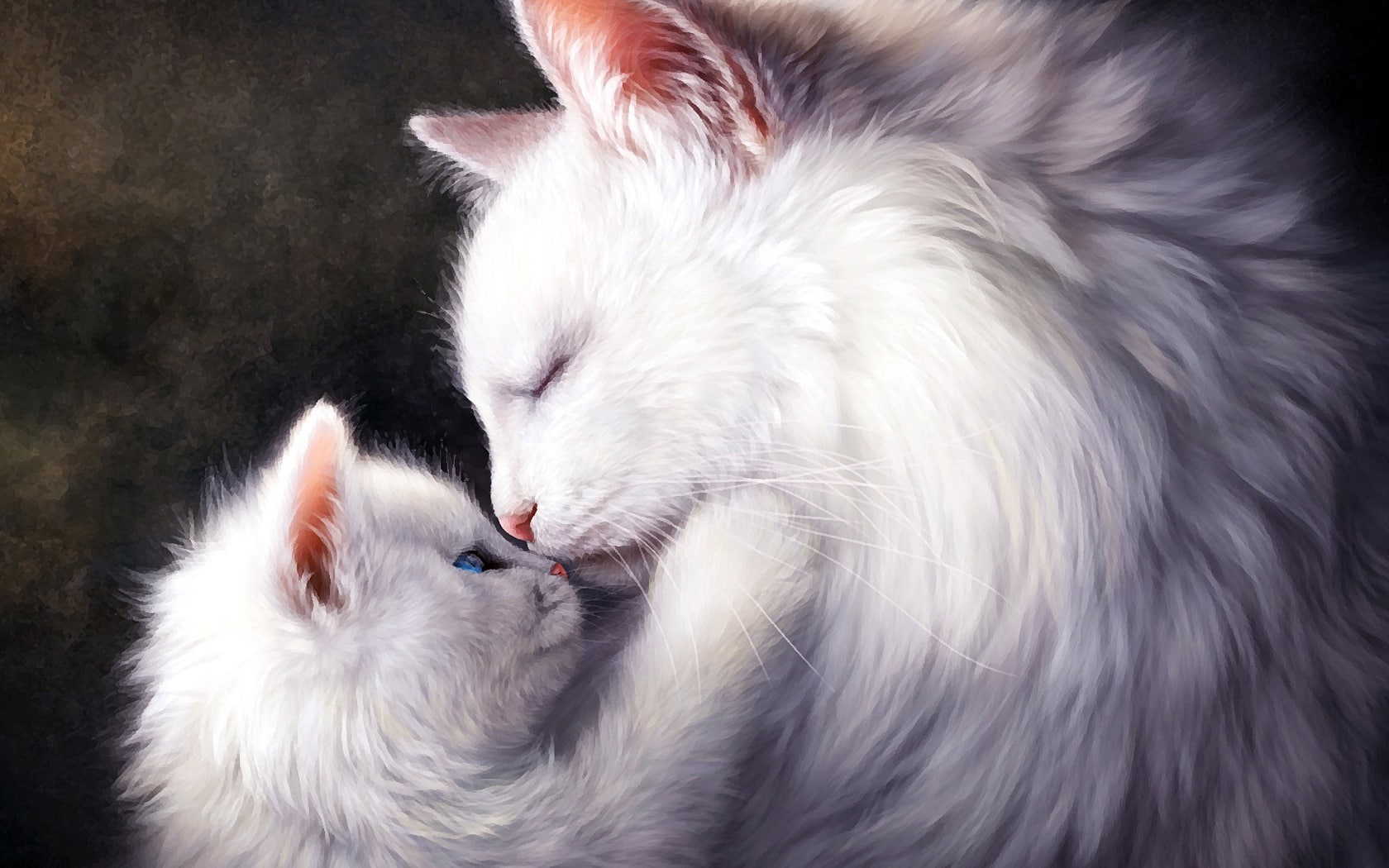 wallpaper et fond d'écran chats tendresse cat amour chaton kitten animals animaux fantasy