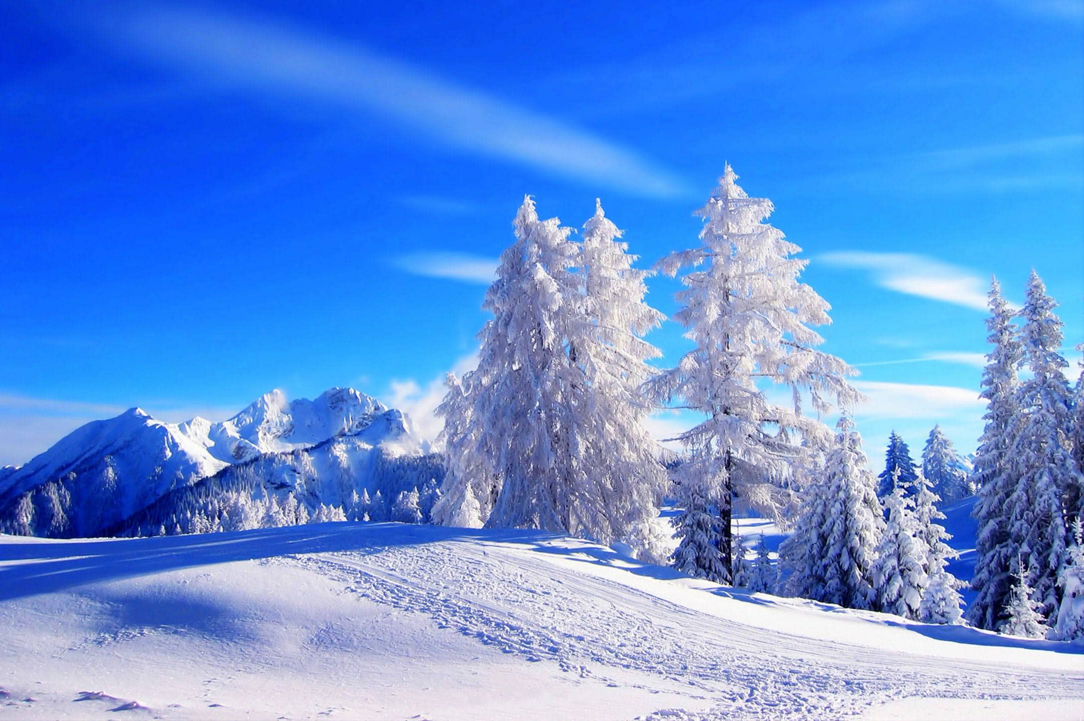 wallpaper et fond d'écran hiver nature