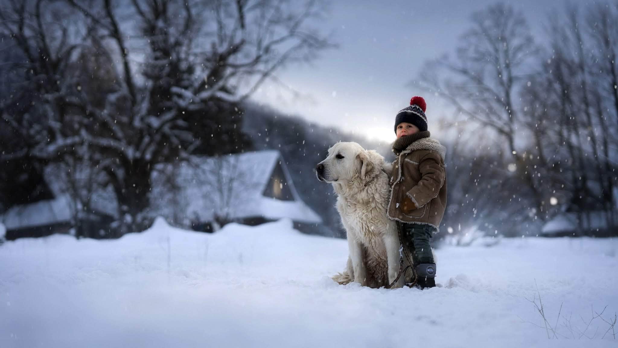 wallpaper et fonds d'écran chien enfant hiver neige