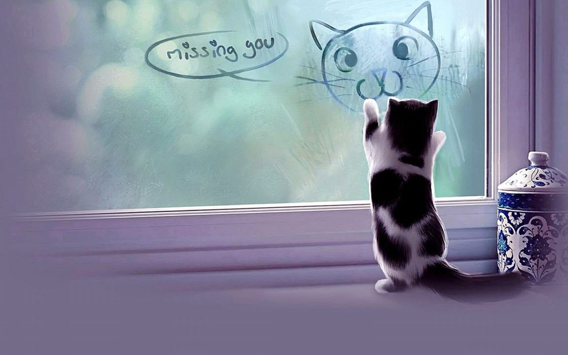 wallpaper et fond d'écran chat dessin fenêtre