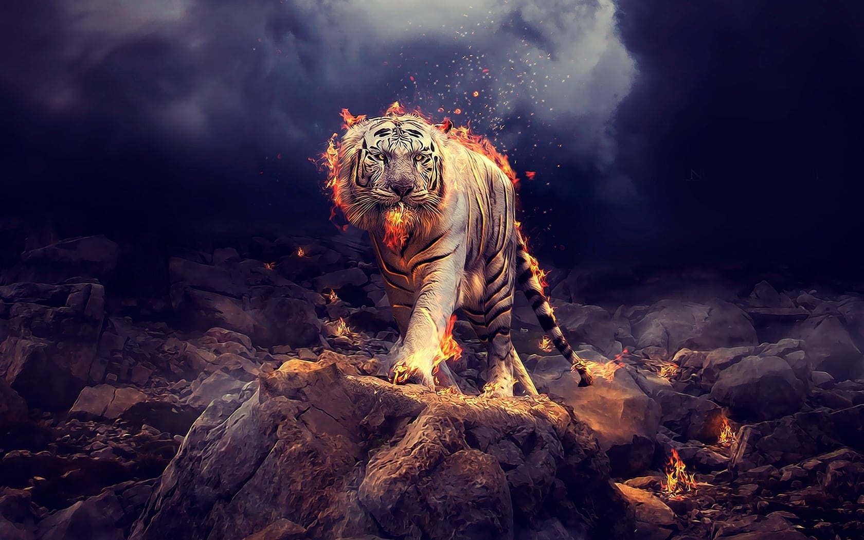 wallpaper et fond d'écran art tigre