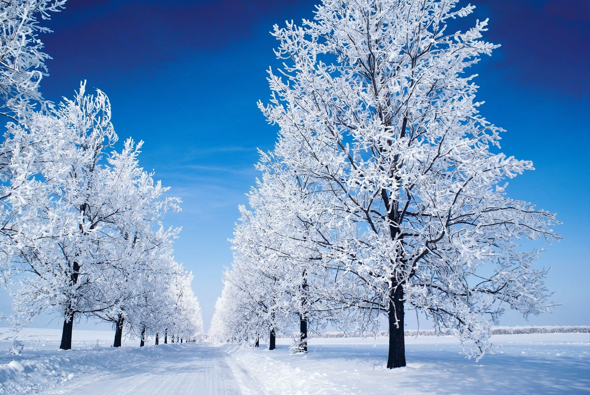 wallpaper et fond d'écran hiver nature neige