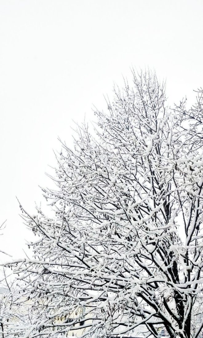wallpaper et fond d'écran hiver neige