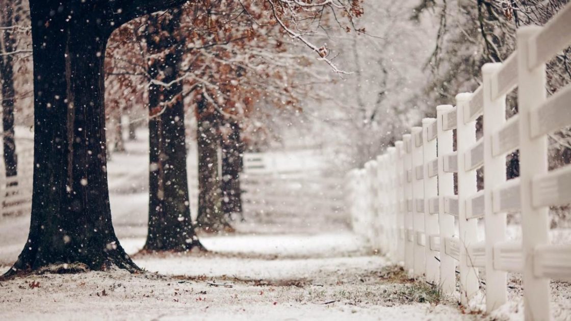 walllpaper et fond d'écran neige nature hiver