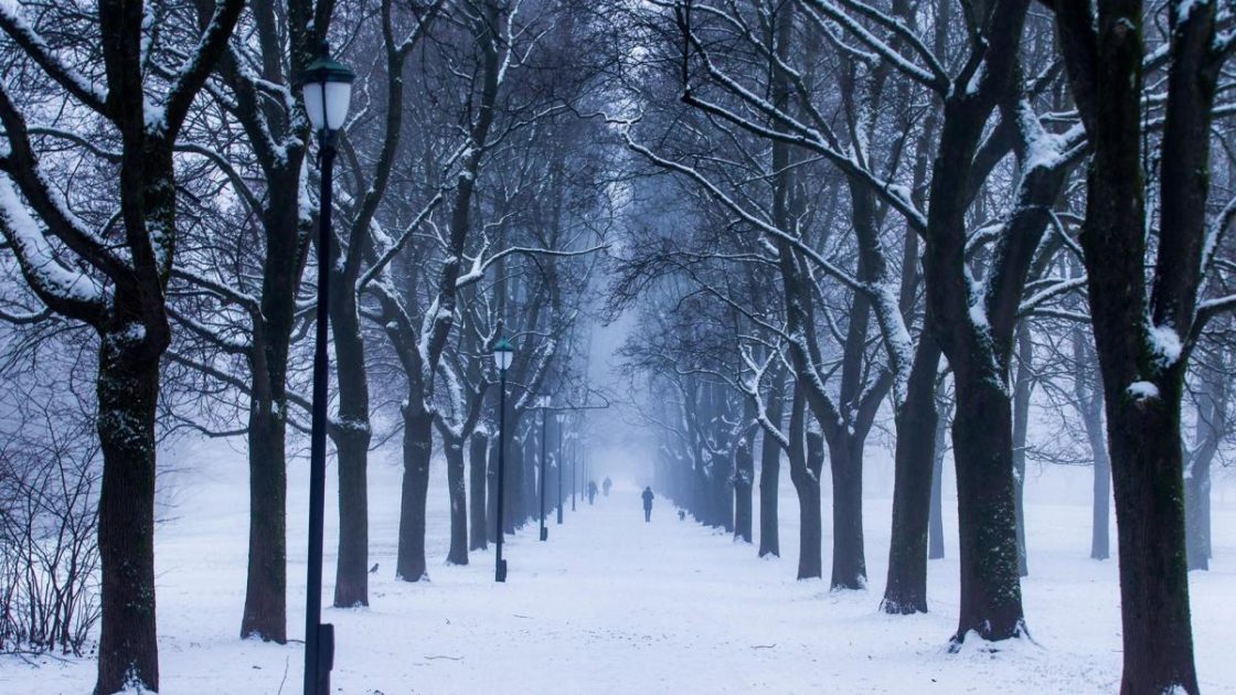wallpaper et fond d'écran hiver neige