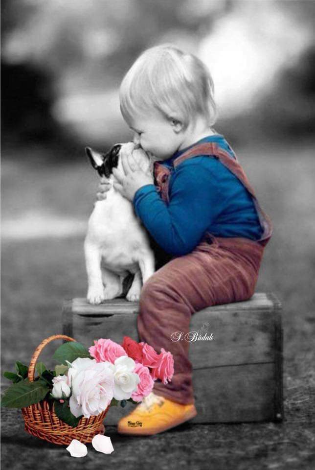 photographie enfant chien tendresse