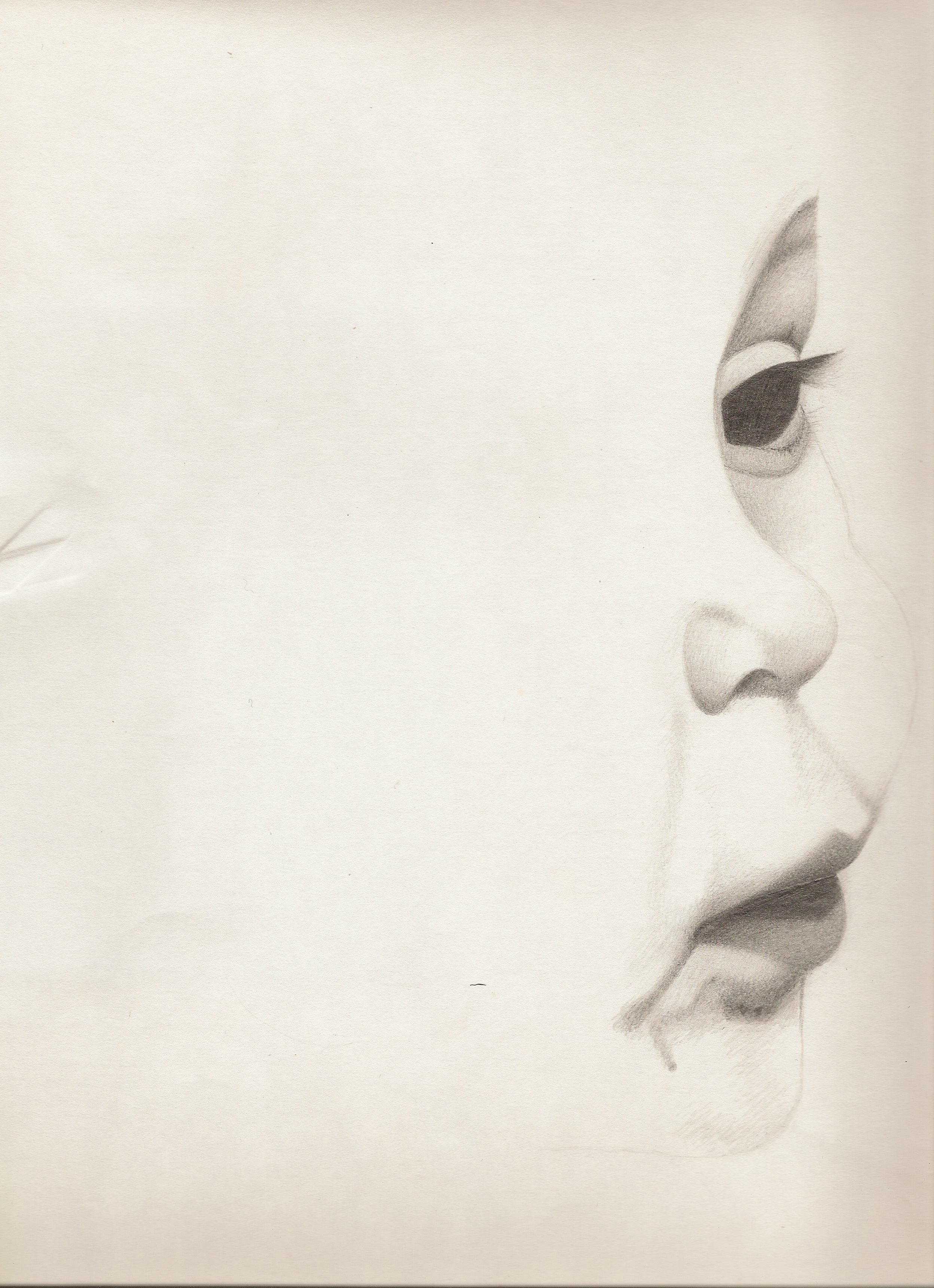 artiste art dessin portrait