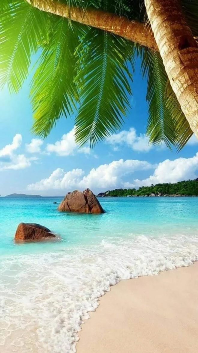 wallpaper et fond d'écran plage mer paradis