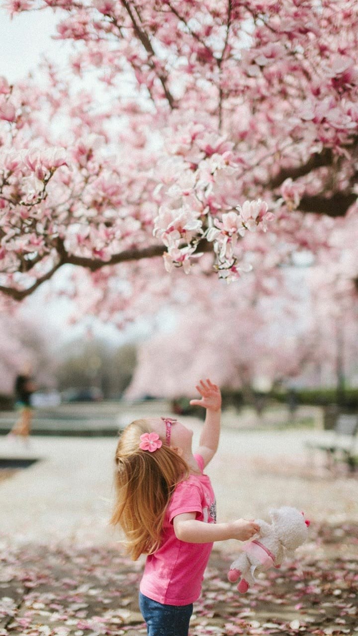 wallpapers et fond d'écran fleurs printemps