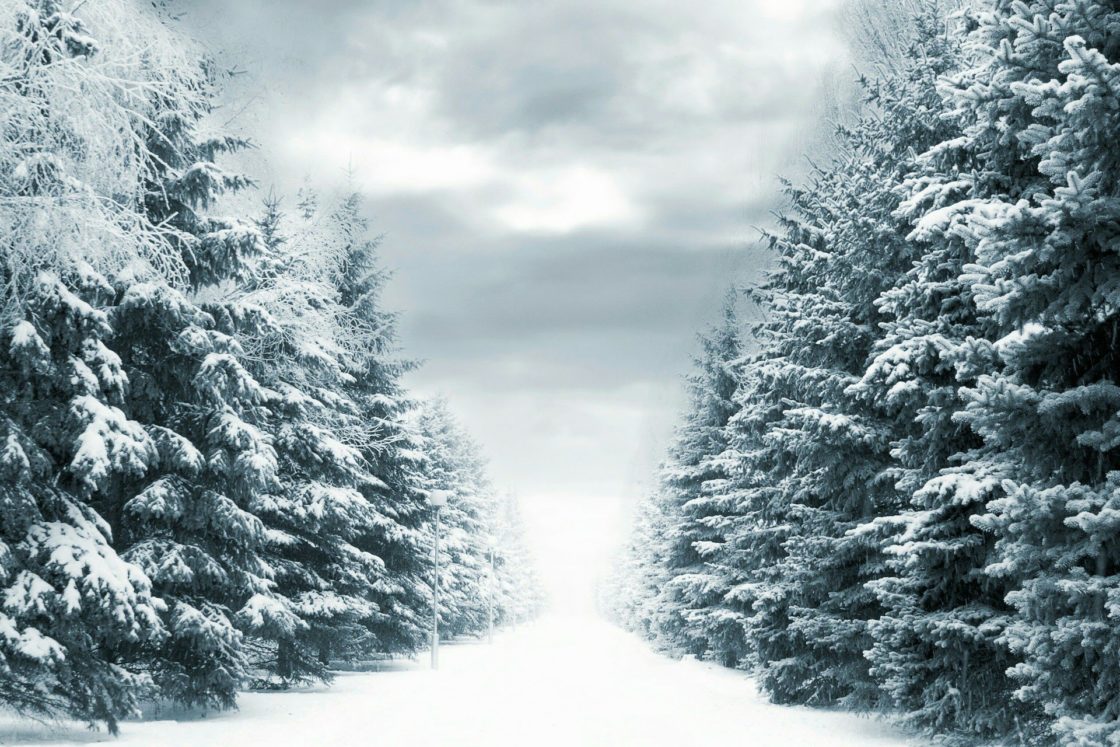 wallpaper et fond d'écran hiver nature neige
