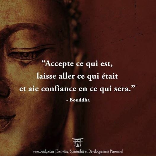 photographie image mots citation bouddha