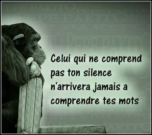 photo image mots citation proverbe