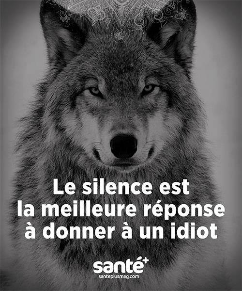 photo image mots citation