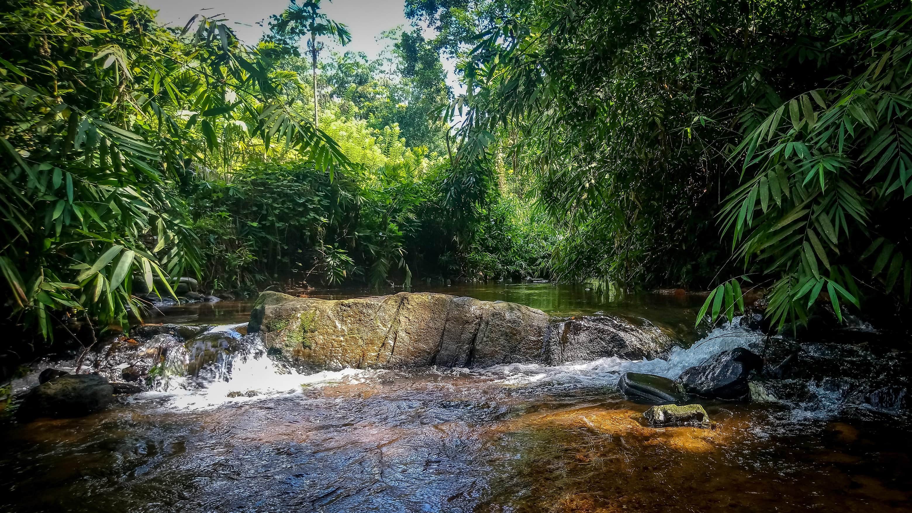 wallpaper et fond d'écran pays sri lanka nature