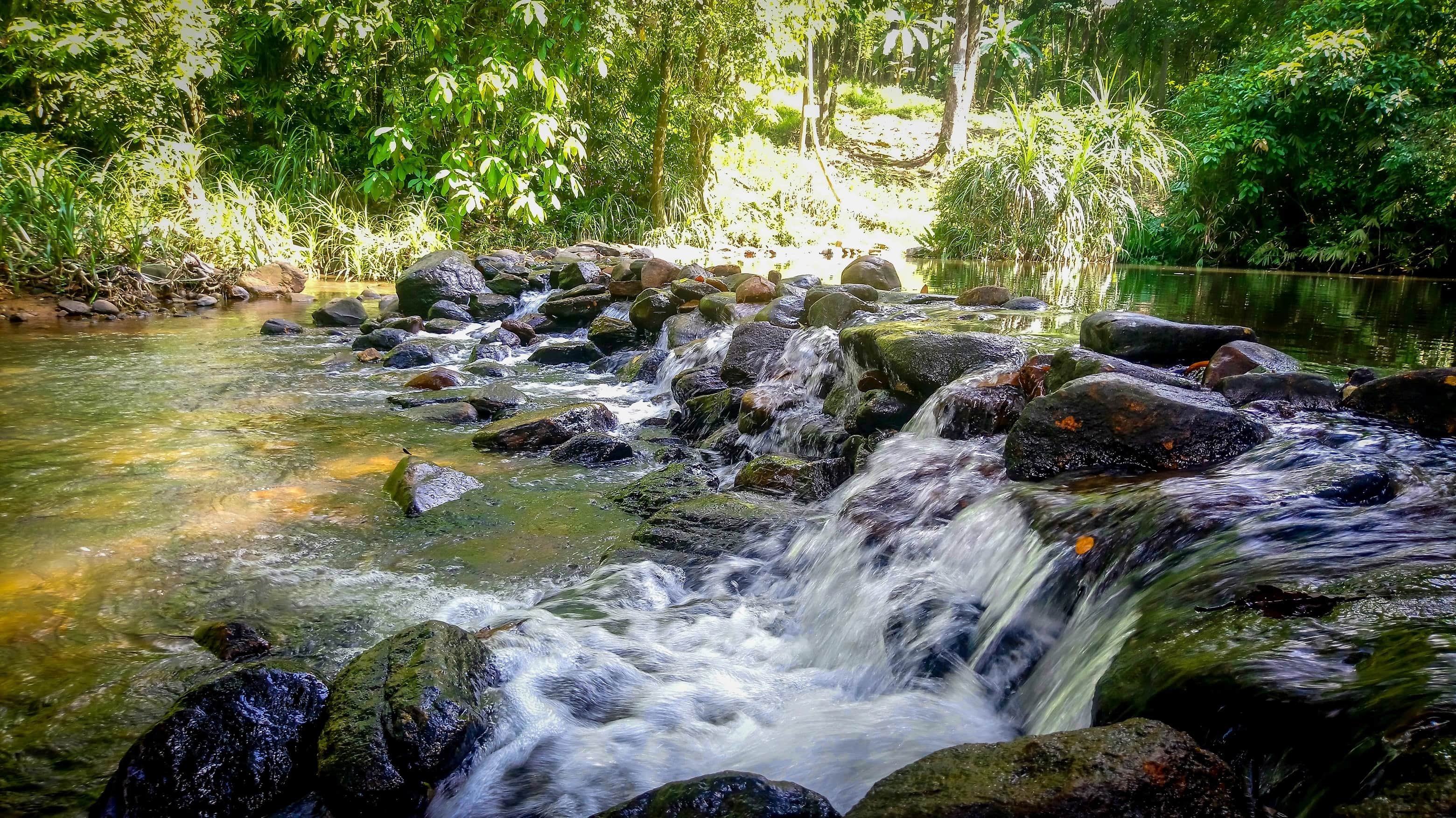 wallpaper et fond d'écran nature sri lanka