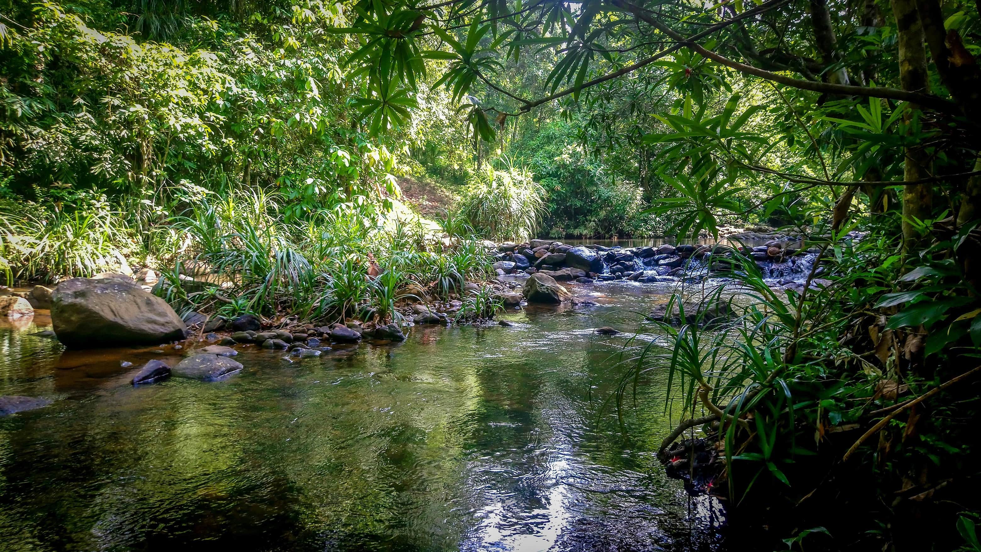 wallpaper et fond d'écran pays sri lanka nature