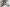 photographie femme photo appareil