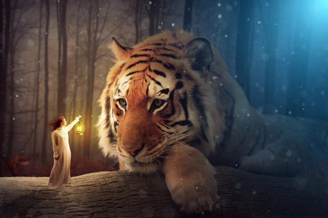 wallpaper et fond d'écran tigre féerie fantastique
