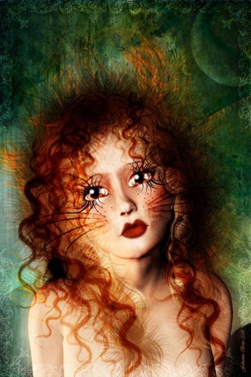 artiste art illustrateur