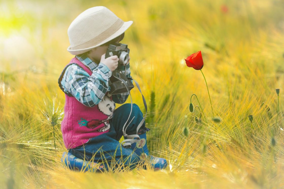 wallpaper et fond d'écran enfant photographe fleur nature