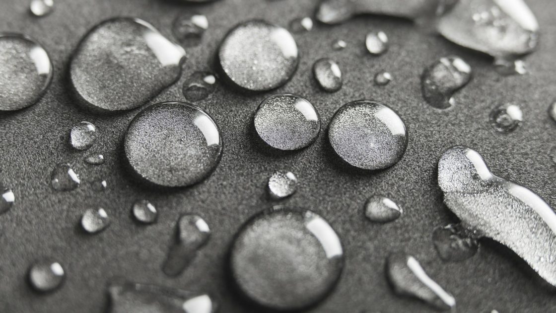 wallpaper et fond d'écran gouttes fleurs macro noir e blanc