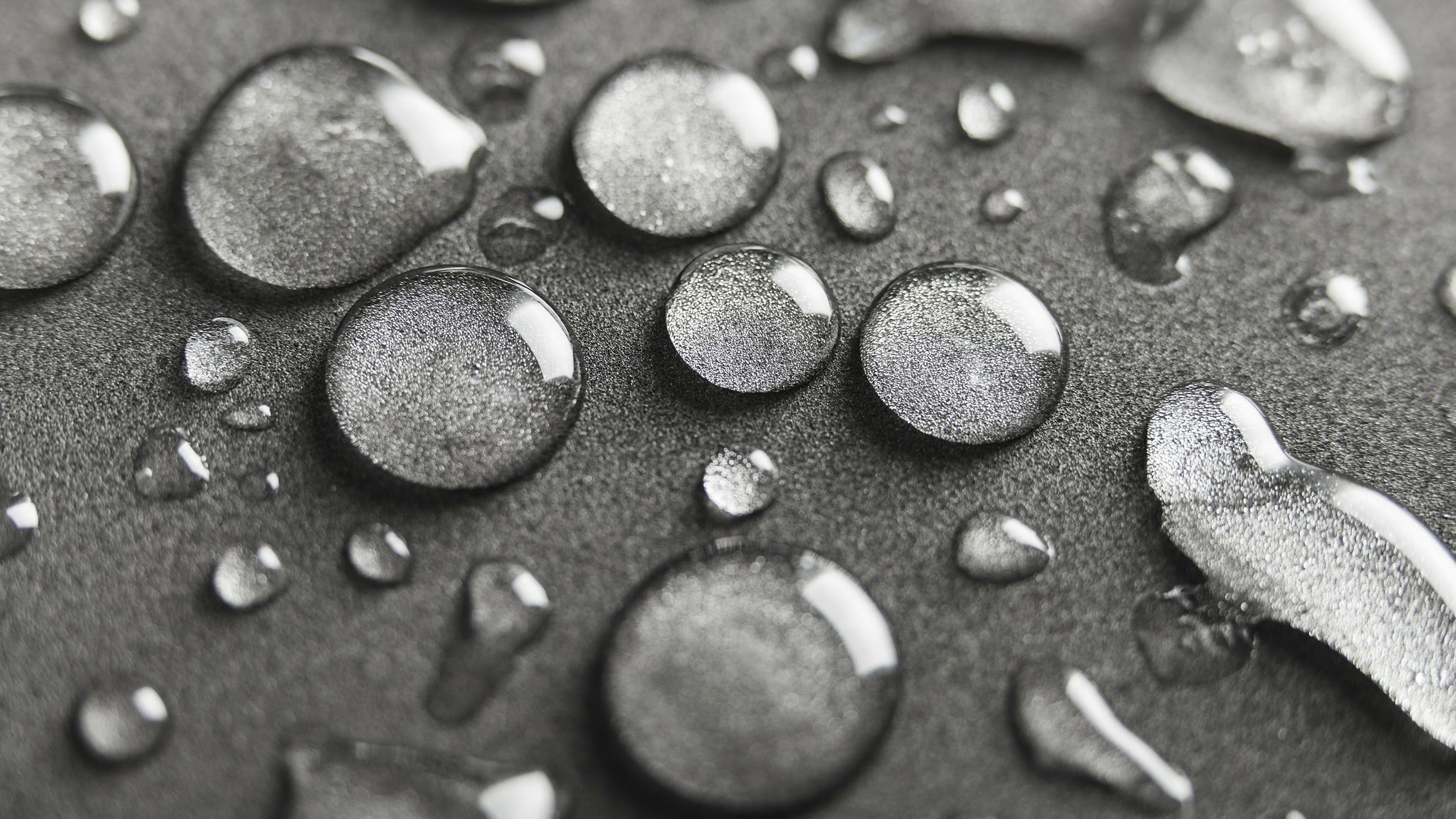 wallpaper et fond d'écran gouttes fleurs macro noir e blanc