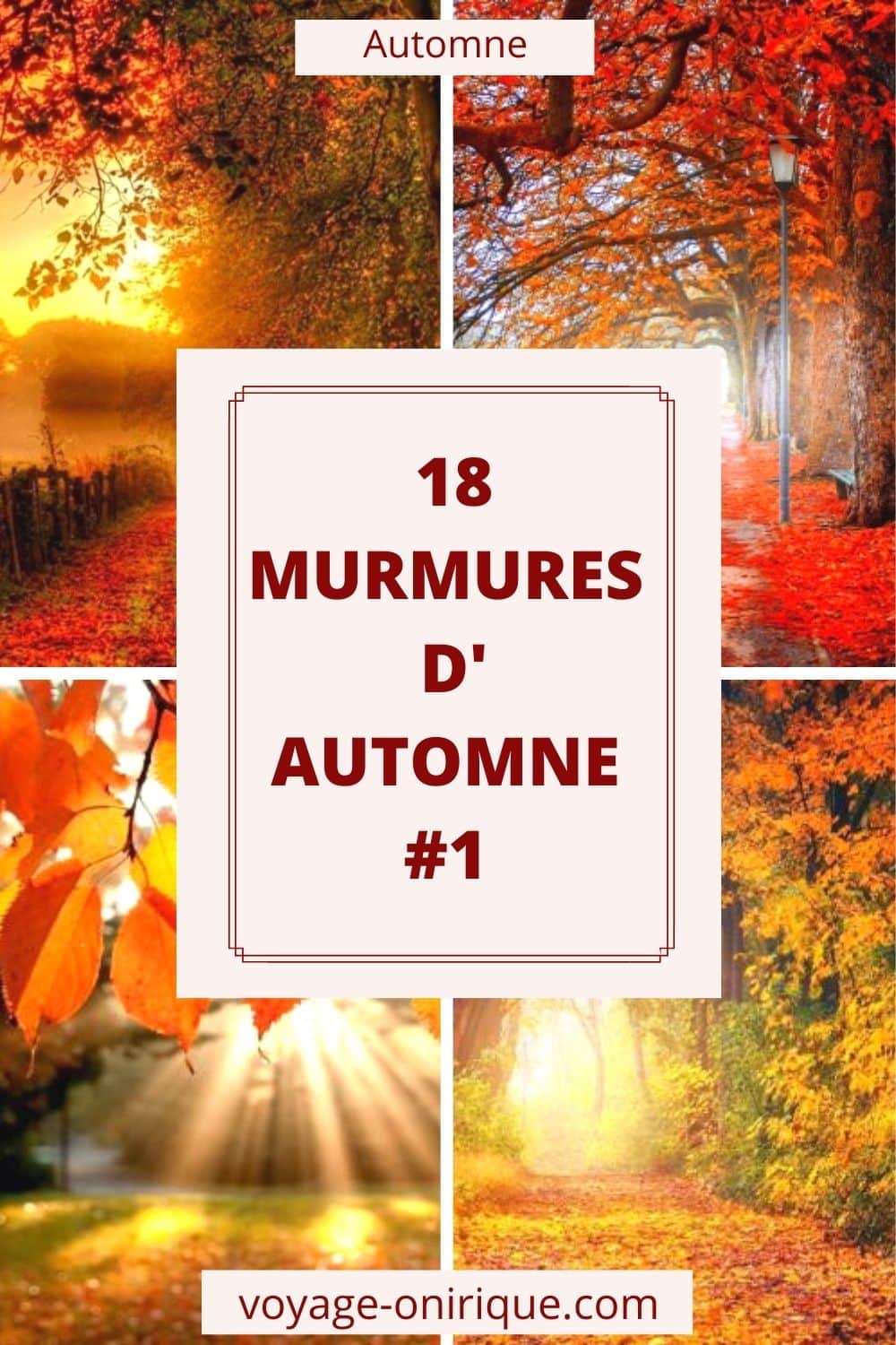 image photo automne sélection nature feuilles mortes couleurs paysage 18 Murmures d'Automne #1