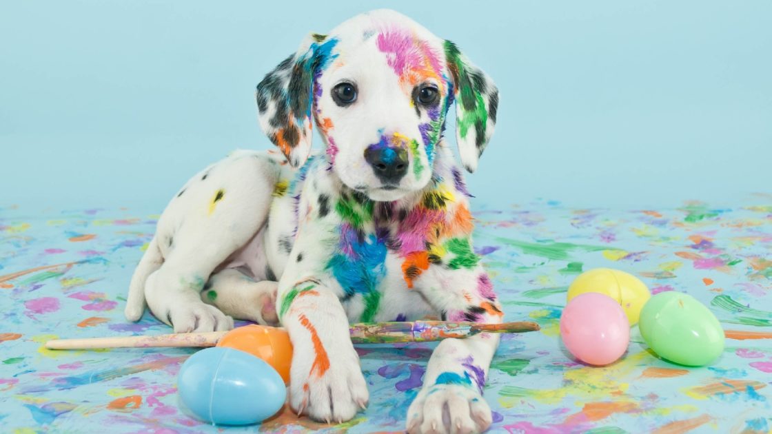 wallpaper et fond d'écran chien dalmatien animaux animal peinture amusant