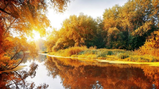 wallpaper et fond d'écran automne nature saison paysage feuilles