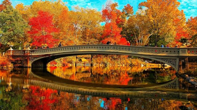 wallpaper et fond d'écran automne nature saison paysage feuilles