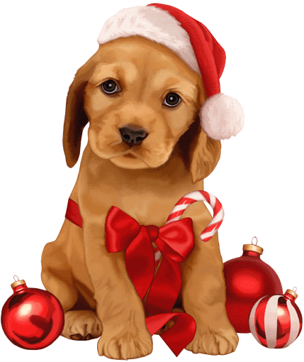 Beaux chiens Noël / Beautiful Christmas Dogs