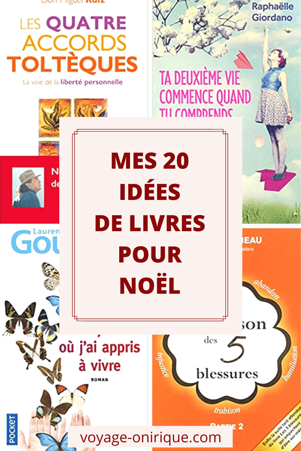 Mes 20 idées de livres pour Noël
