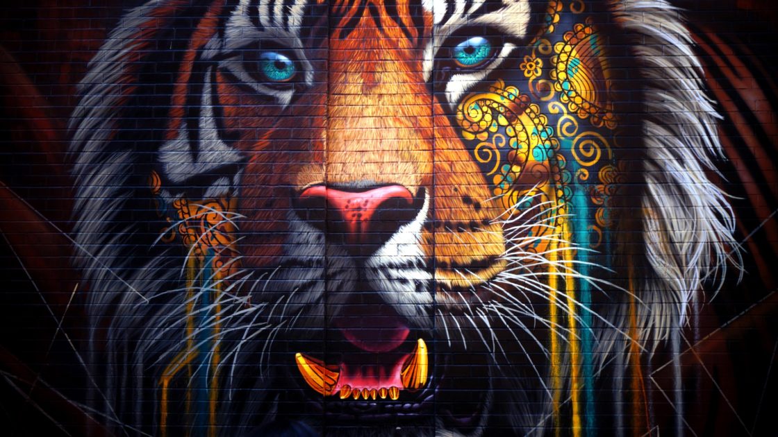 wallpaper et fond d'écran tigre art street art graphique numérique tigre tiger artwork digitalart art graphique art animals animaux graphic portrait félin feline image picture photo photographie photography