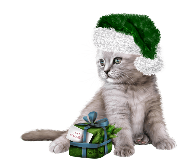 Beaux chats Noël / beautiful cats christmas