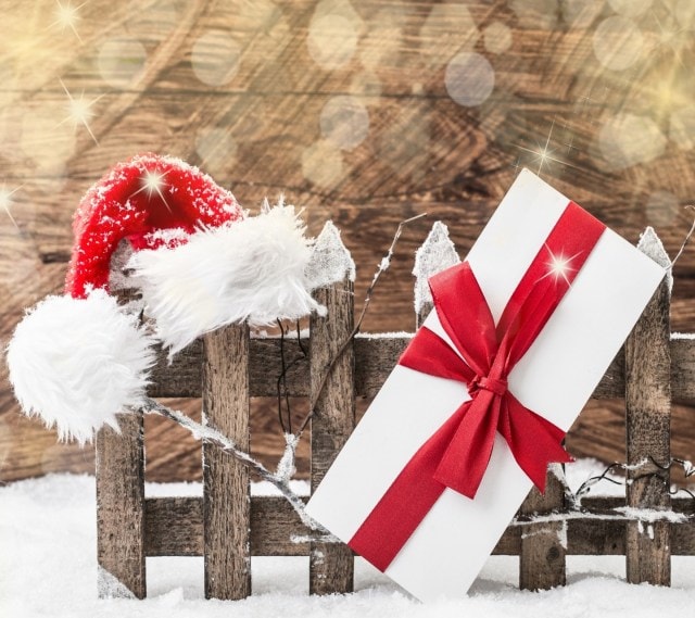 Joyeux Noël 2019 / Merry Christmas 2019