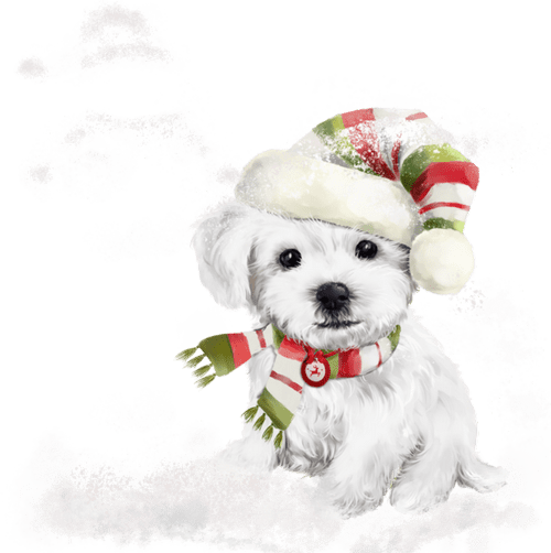 Beaux chiens Noël / Beautiful Christmas Dogs