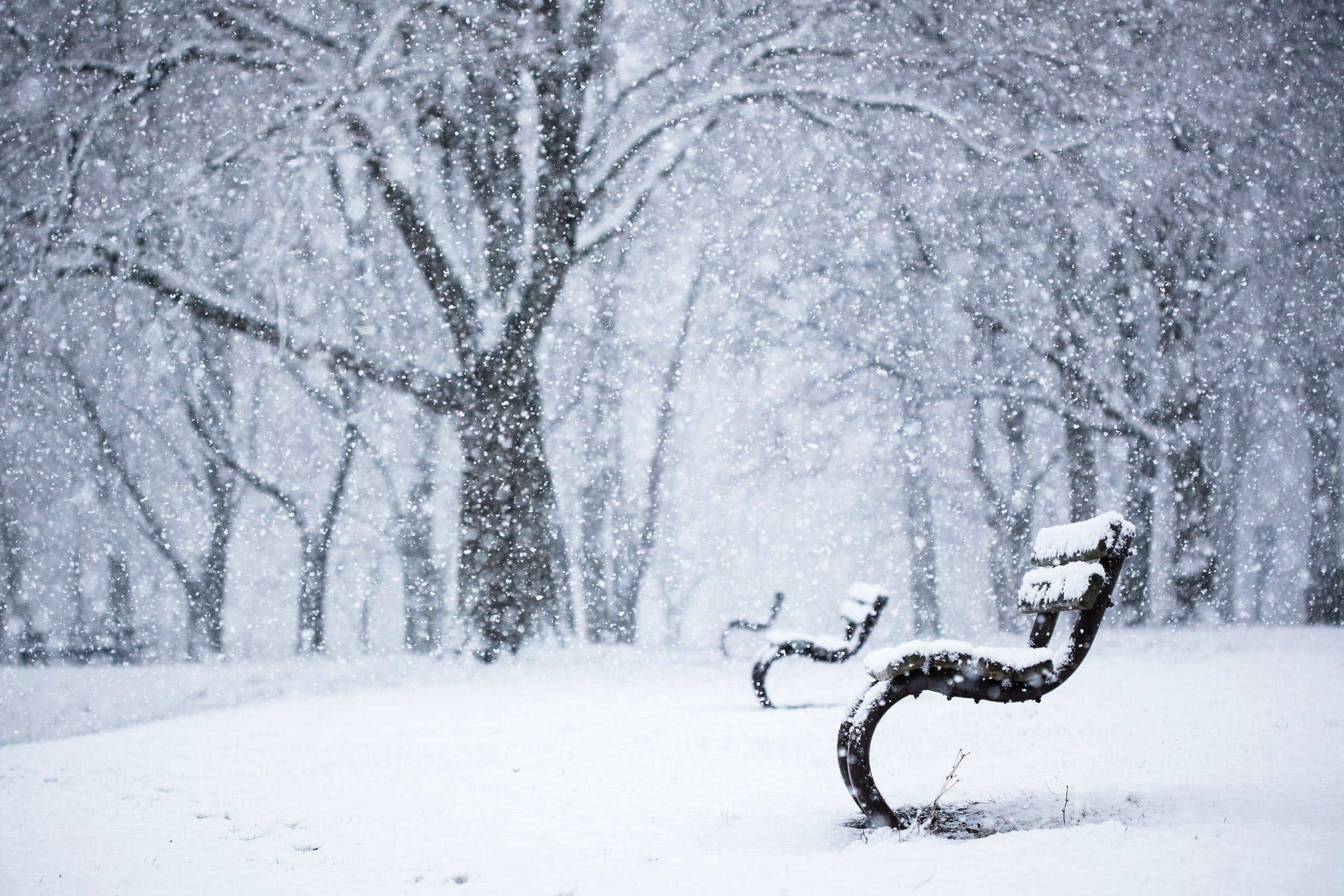 wallpaper et fond d'écran hiver nature neige enneigé banc paysage saison